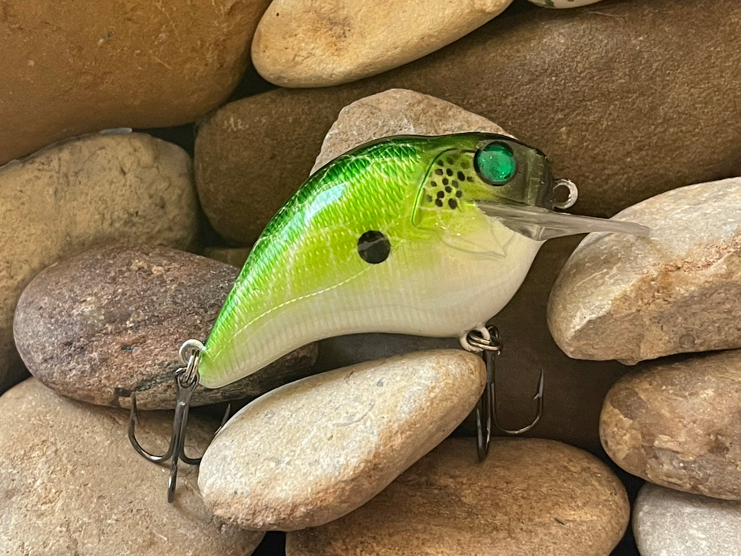 Crackle Shad