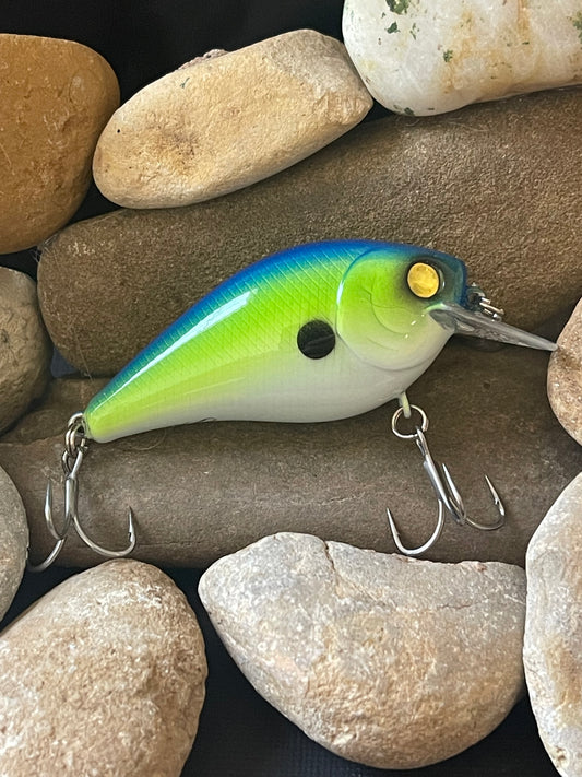 Golden Eye Shad