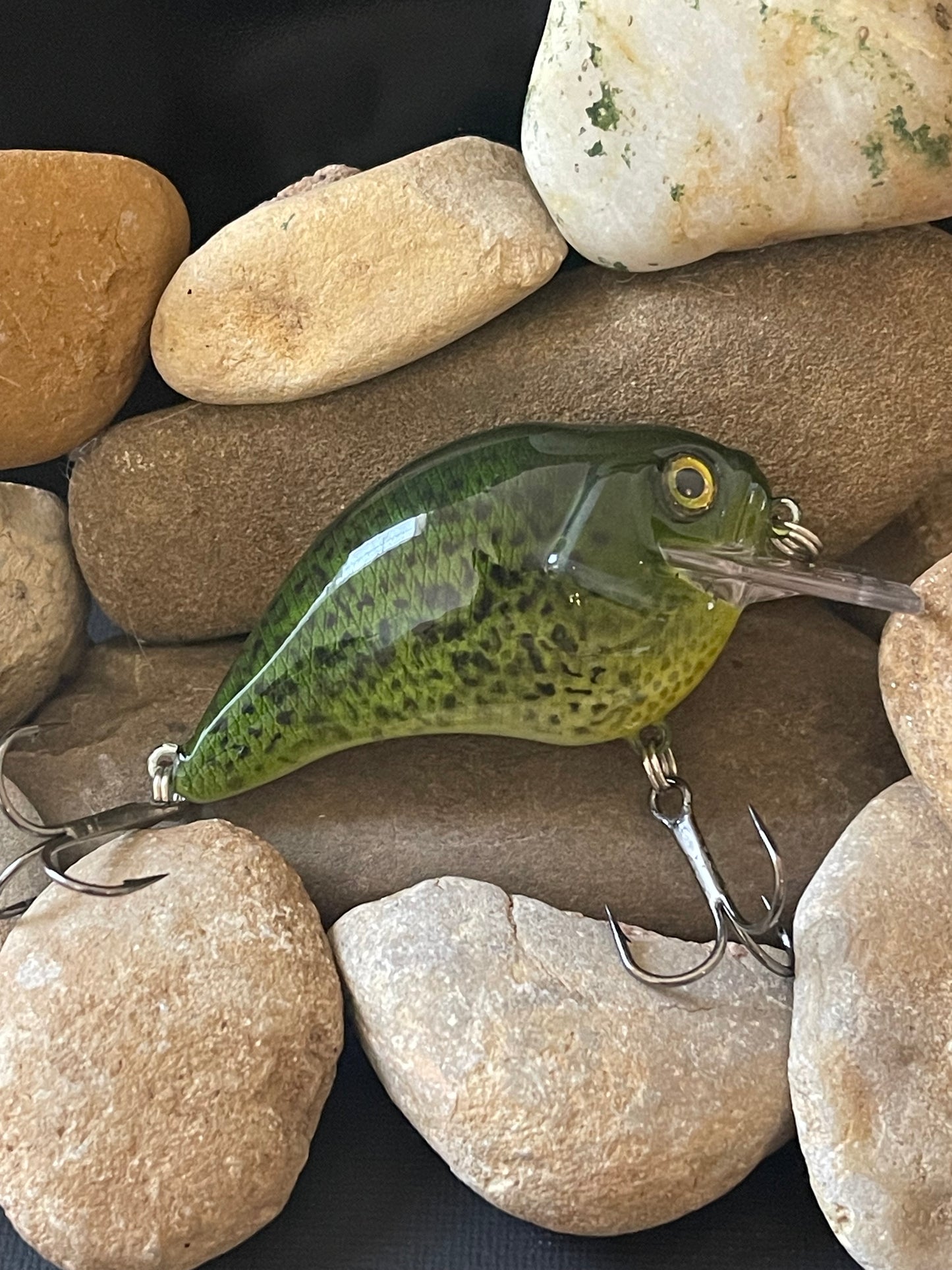 Green Spotted Crappie