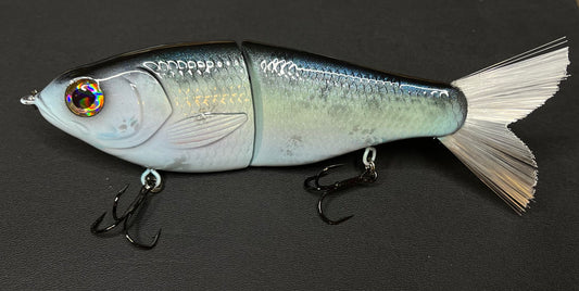 Blue Big Belly Shad