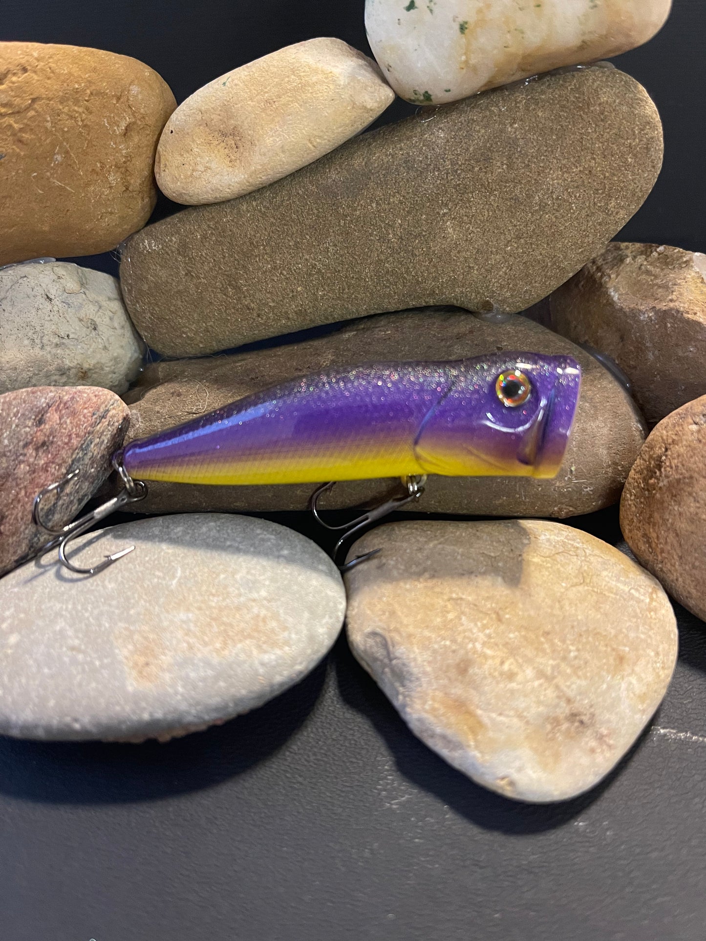 Yellow Belly Popper